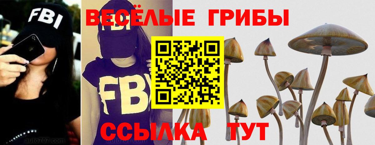 Псилоцибиновые грибы мицелий  Вход с VPN  Псилоцибиновые грибы Psilocybe  Богородицк 