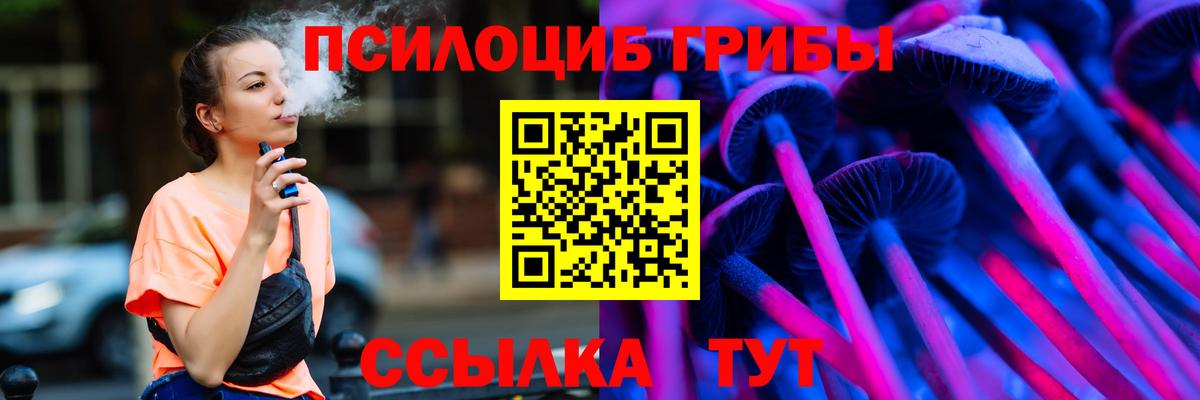 Галлюциногенные грибы Psilocybe Богородицк